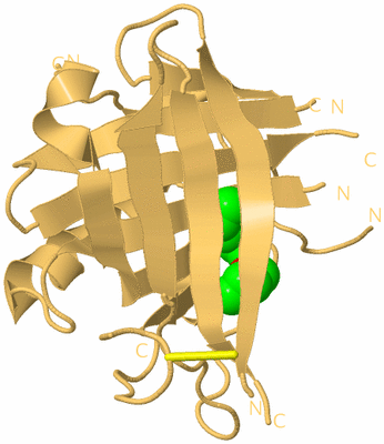 Image Biological Unit 7