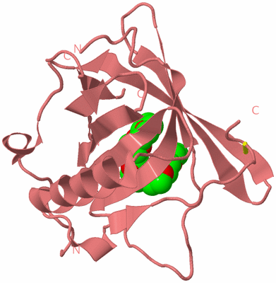 Image Biological Unit 8