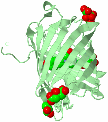 Image Biological Unit 2