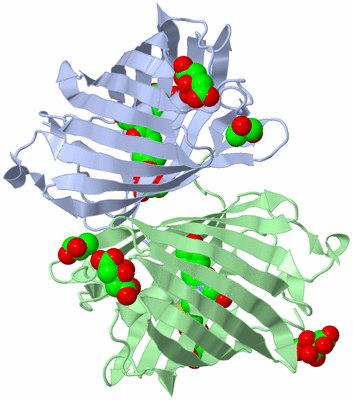 Image Biological Unit 3