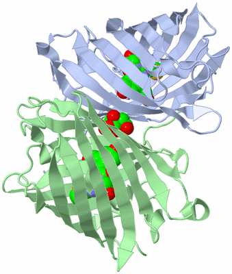 Image Biological Unit 3