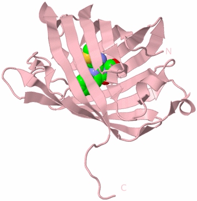 Image Biological Unit 3