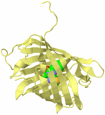 Image Biological Unit 4