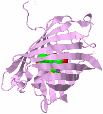 Image Biological Unit 5