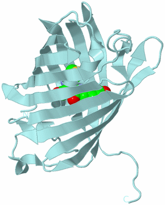 Image Biological Unit 6