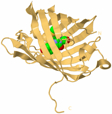 Image Biological Unit 7