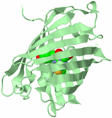 Image Biological Unit 2