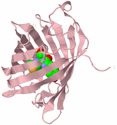 Image Biological Unit 3