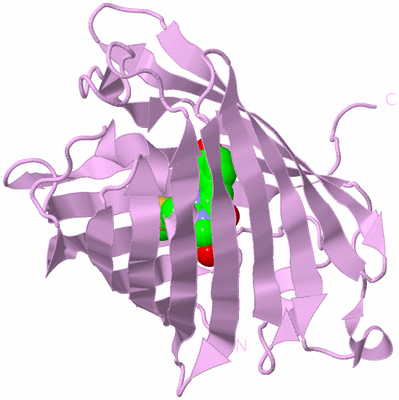 Image Biological Unit 5