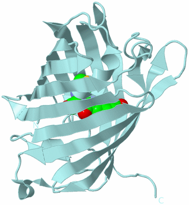 Image Biological Unit 6