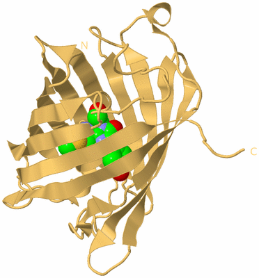 Image Biological Unit 7