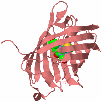 Image Biological Unit 8