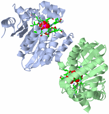 Image Asym./Biol. Unit - sites