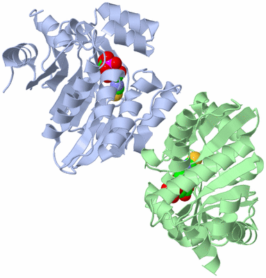 Image Asym./Biol. Unit