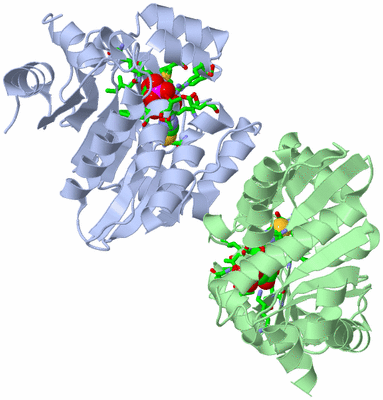 Image Asym./Biol. Unit - sites