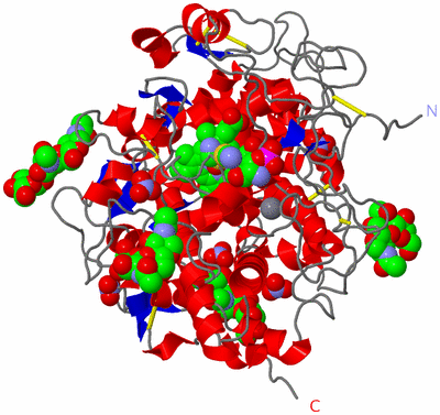 Image Asym./Biol. Unit