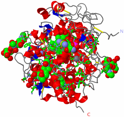 Image Asym./Biol. Unit - sites