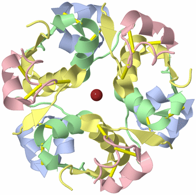Image Biological Unit 1