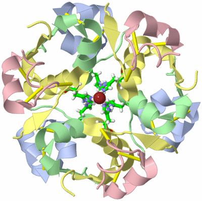 Image Biol. Unit 1 - sites