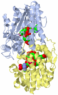 Image Biological Unit 1