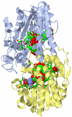 Image Biol. Unit 1 - sites