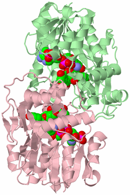 Image Biological Unit 2