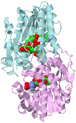 Image Biological Unit 3