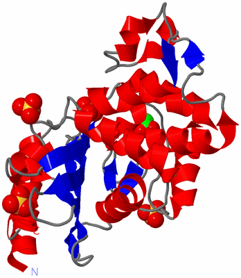 Image Asym./Biol. Unit