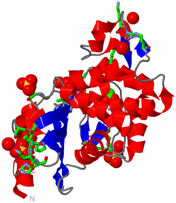 Image Asym./Biol. Unit - sites