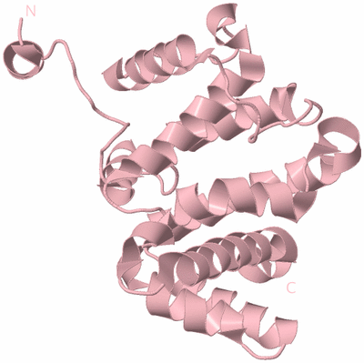 Image Biological Unit 3