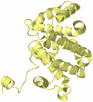 Image Biological Unit 4