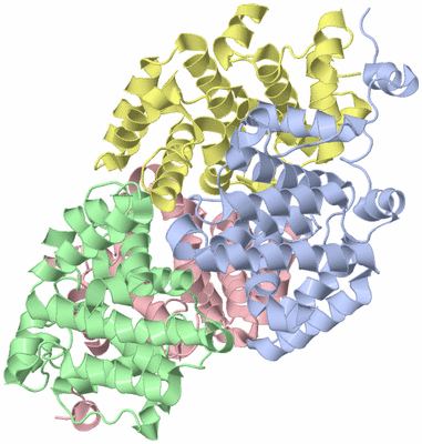 Image Biological Unit 5