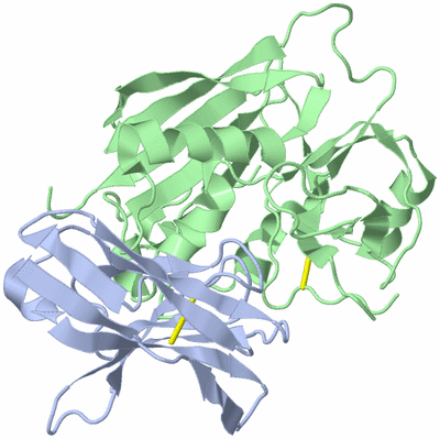 Image Biological Unit 1