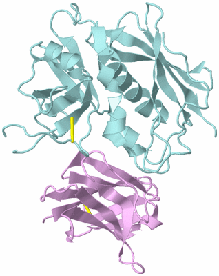 Image Biological Unit 3