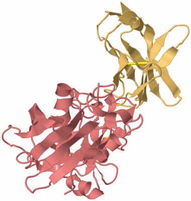 Image Biological Unit 4