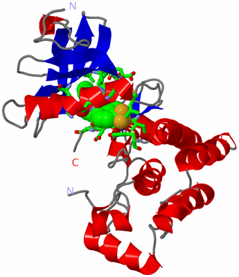 Image Asym./Biol. Unit - sites