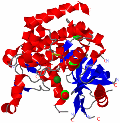 Image Asym./Biol. Unit