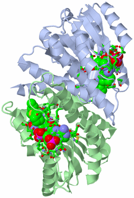 Image Biol. Unit 1 - sites