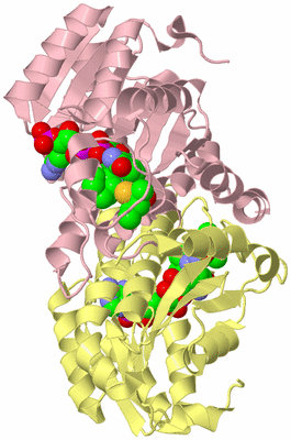 Image Biological Unit 2