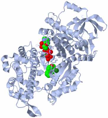 Image Biological Unit 1