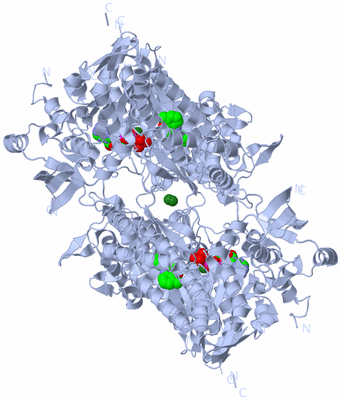 Image Biological Unit 2