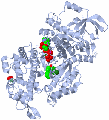 Image Biological Unit 1