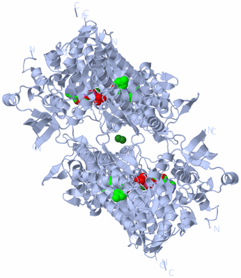 Image Biological Unit 2