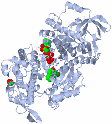 Image Biological Unit 1