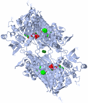 Image Biological Unit 2