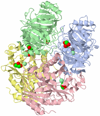 Image Asym./Biol. Unit