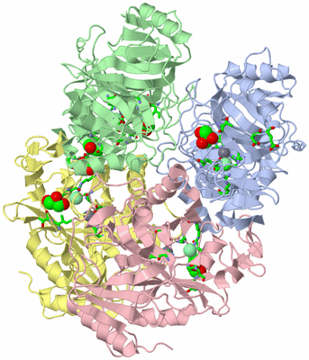 Image Asym./Biol. Unit - sites