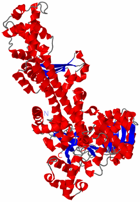 Image Asym./Biol. Unit