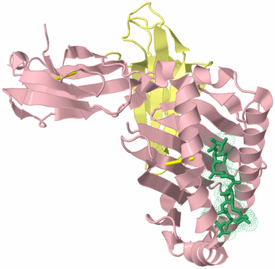 Image Biological Unit 2