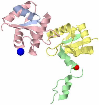 Image Biological Unit 3